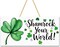 St Patricks Day Decorations - Hanging Wooden Sign for Wall Home Door Birthday | Shamrock Decorations Wood Wreaths Irish St Patty's Day Accessories Party Favors - St. Patrick's Day Decor